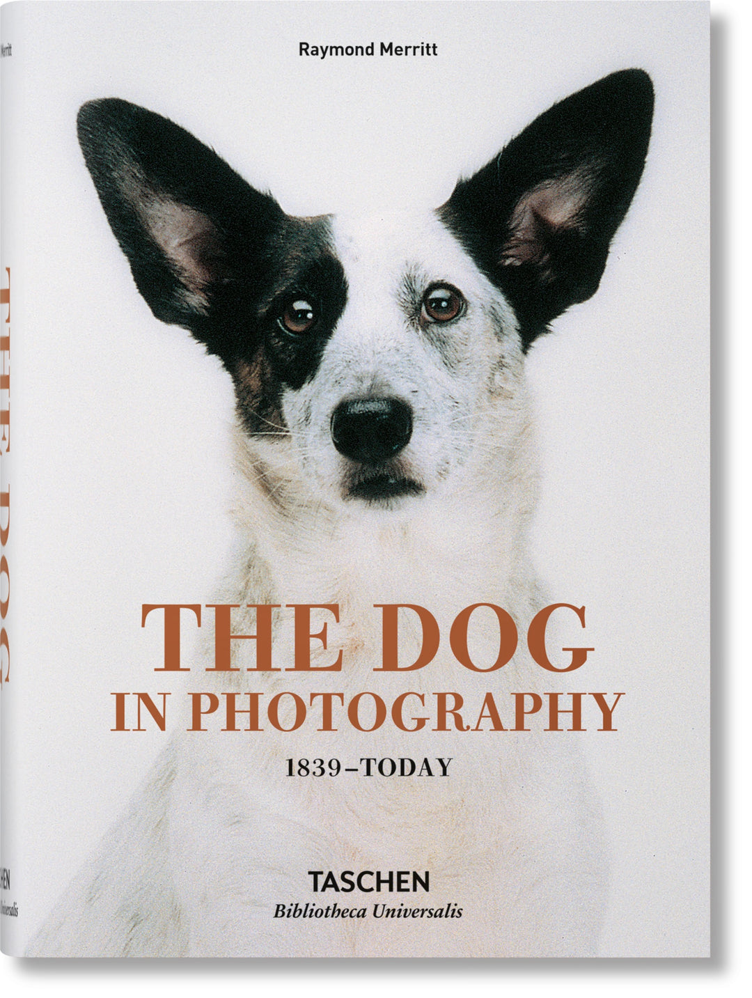 Dog in Photography Book