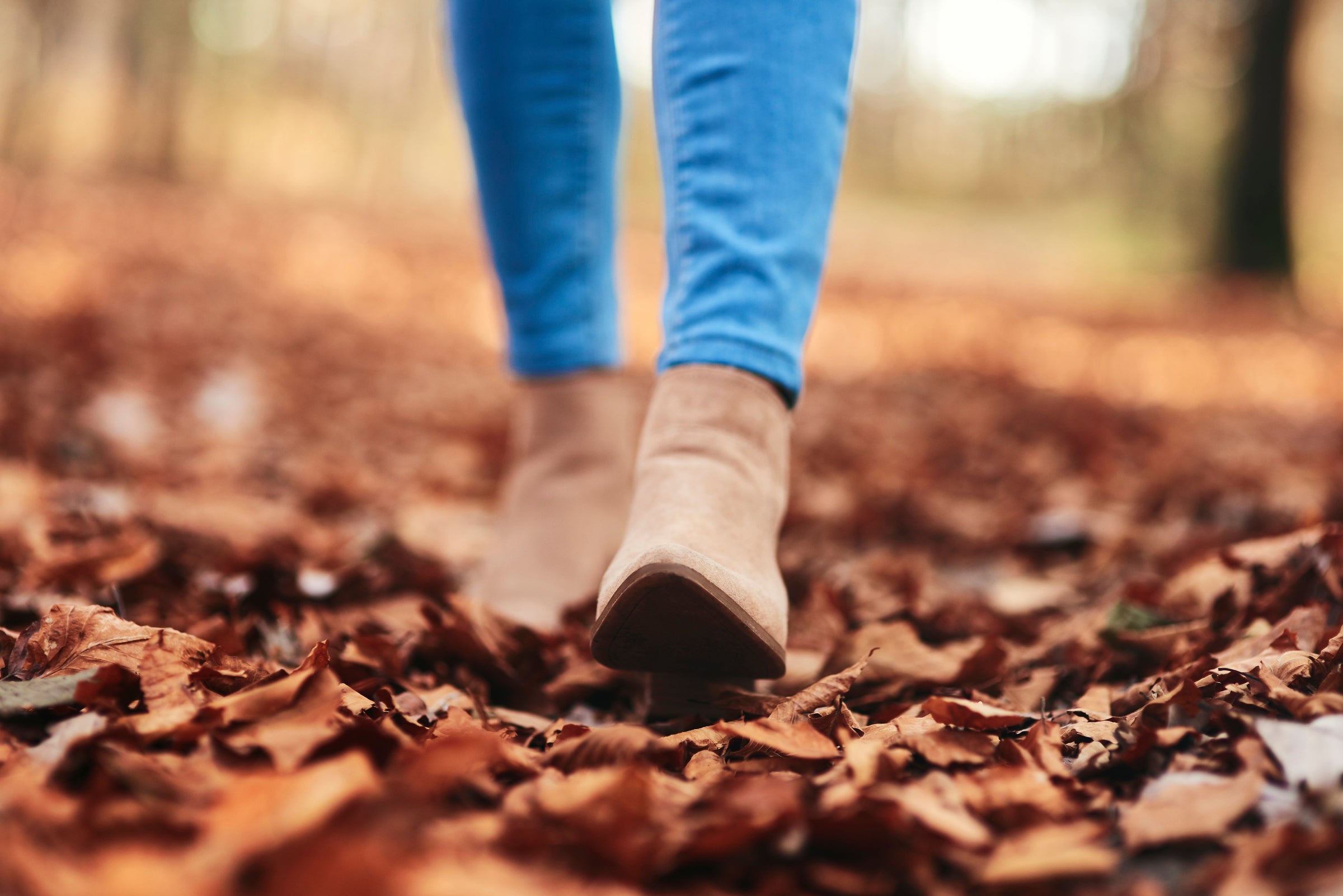 Fall Shoes