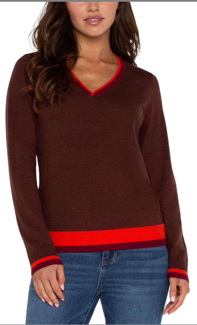 Color-block V-neck Sweater