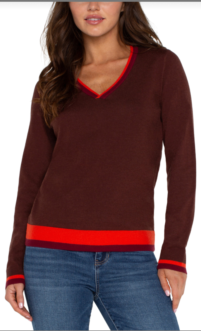 Color-block V-neck Sweater