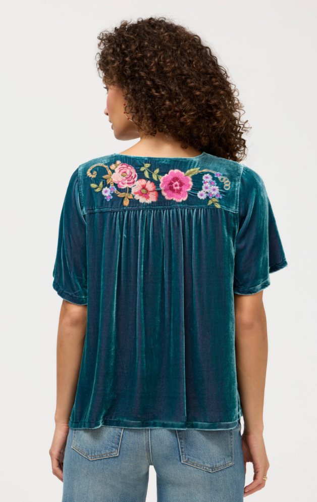 Velvet Yoke Blouse - Aerus