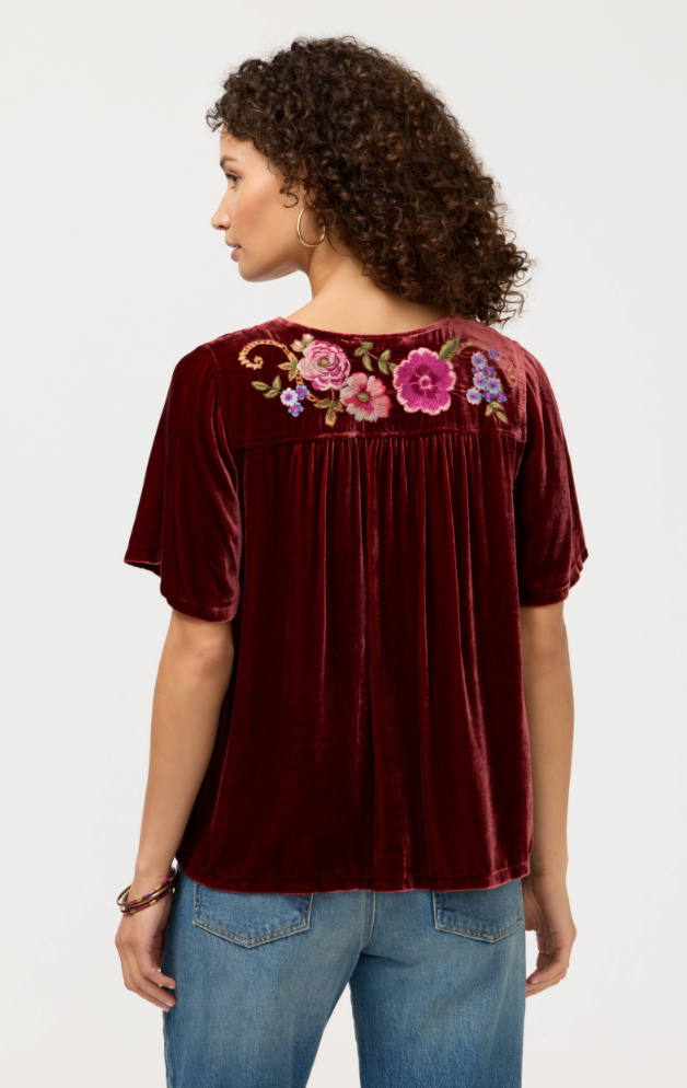 Velvet Yoke Blouse - Aerus