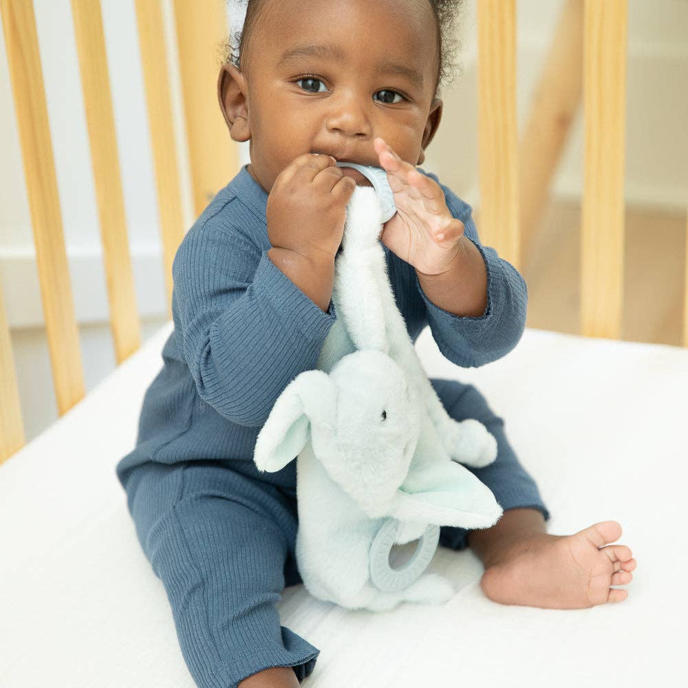 Bella Tunno Teether Buddy Danny the Dog, soft silicone teething toy with colorful accents for infants.