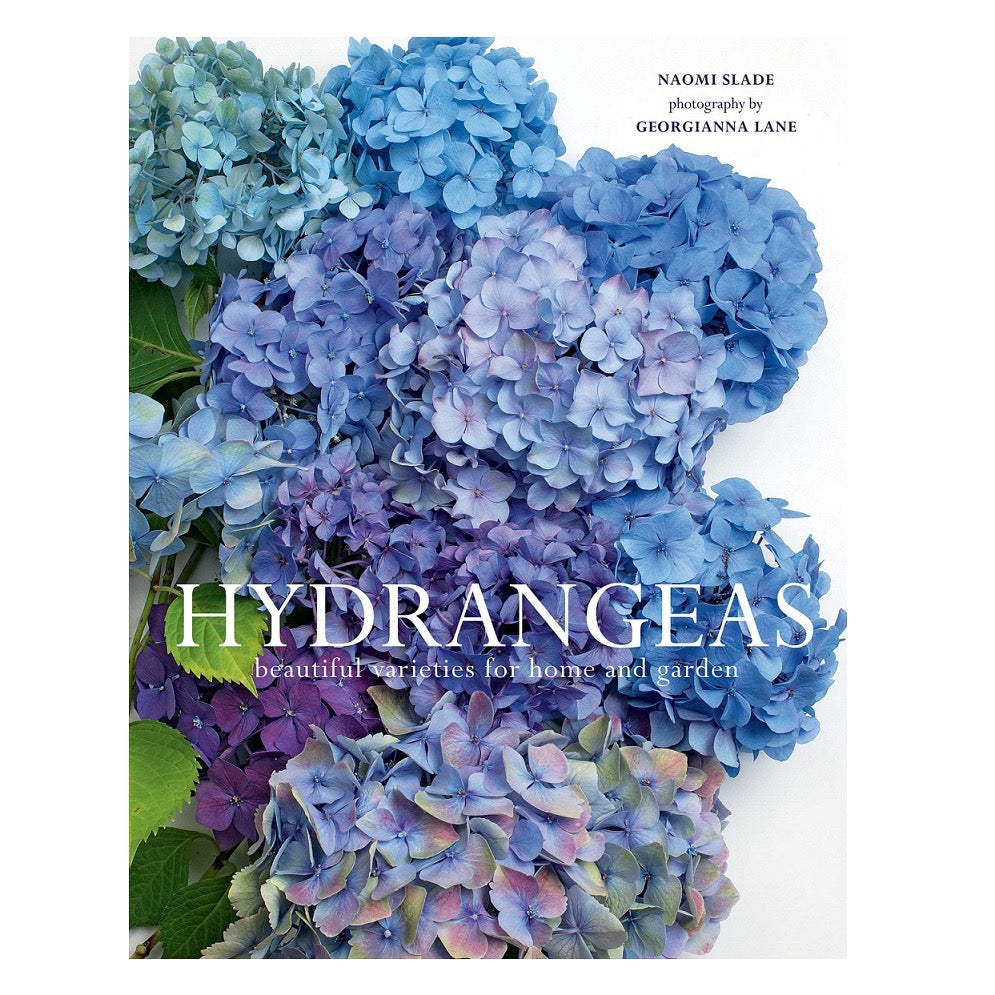 Open book showing vibrant hydrangea flower photographs from the "Hydrangeas: Beautiful Varieties for Home & Garden" by Gibbs Smith.