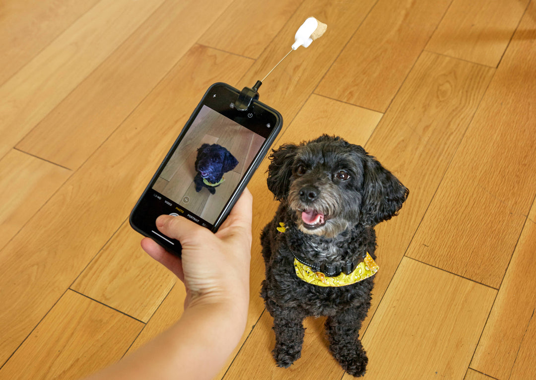 Kikkerland Dog Treat Selfie Clip for pets, featuring a playful design with a clip and treat holder for fun pet photos.