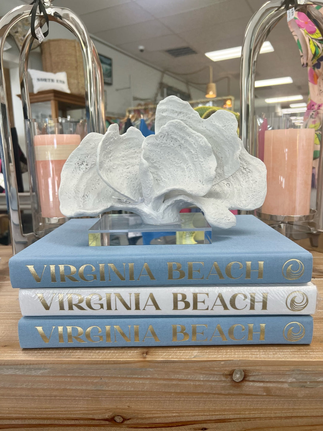 Virginia Beach home decor book by Pastel Proper, featuring colorful illustrations and interior design inspiration.