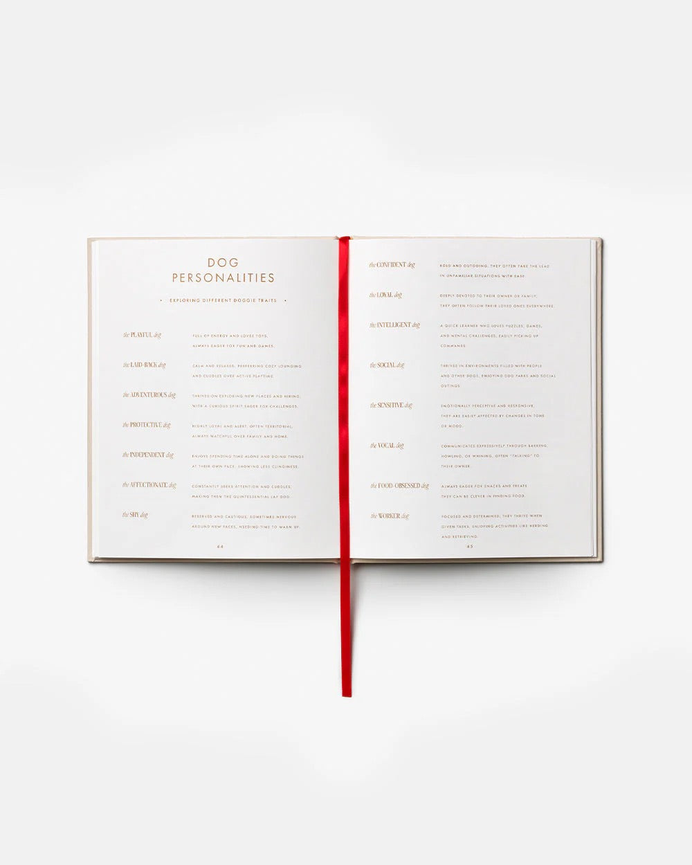 Printworks A Dog's Life journal, a gift book with dog-themed illustrations and pages for notes and reflections.