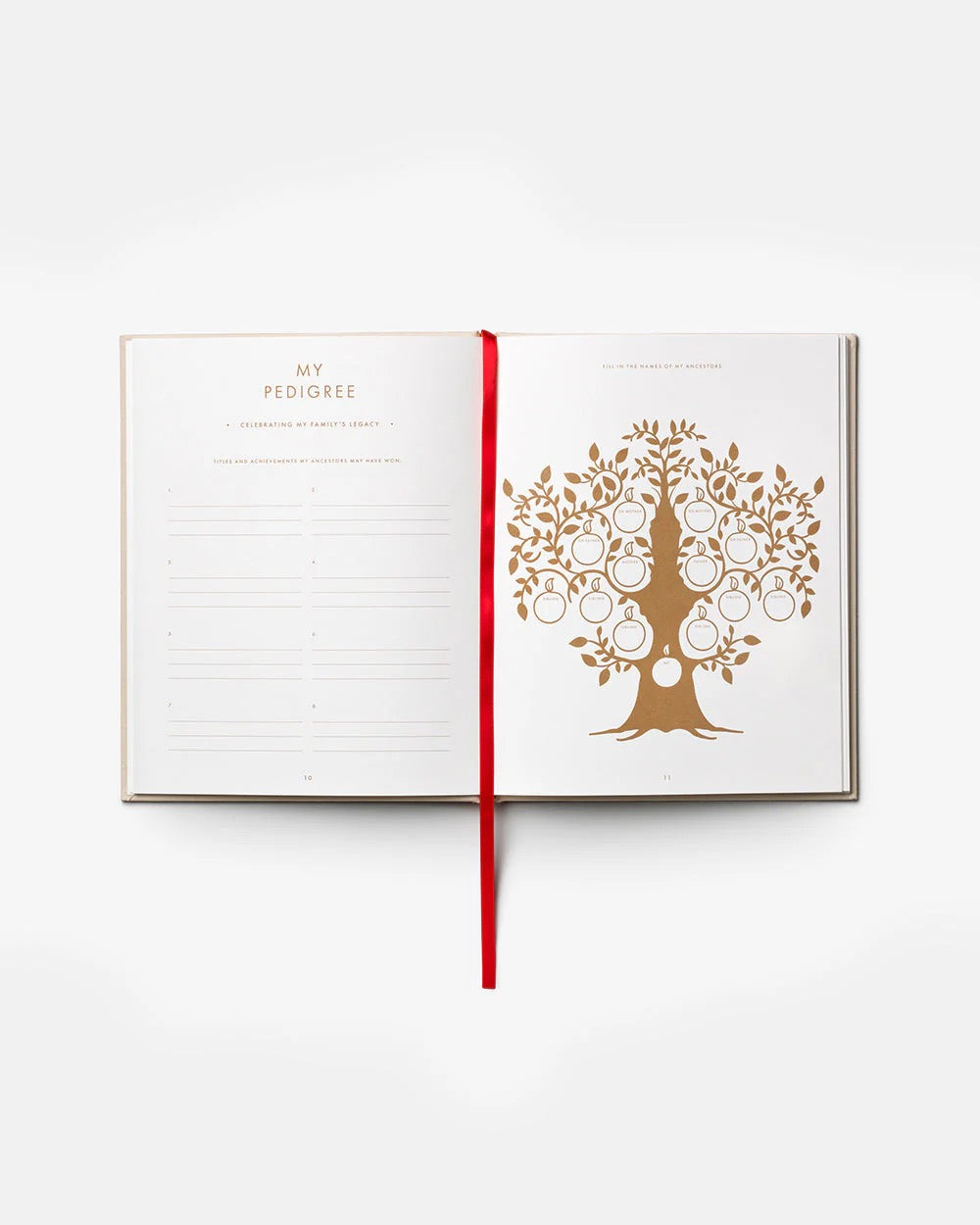 Printworks A Dog's Life journal, a gift book with a dog-themed cover and lined pages for personal writing or notes.