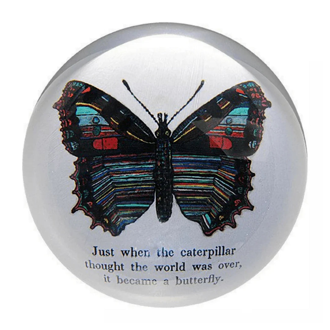 Round paperweight from Sugarboo Designs, 4x4 inches, decorative gift with artistic design and smooth surface.